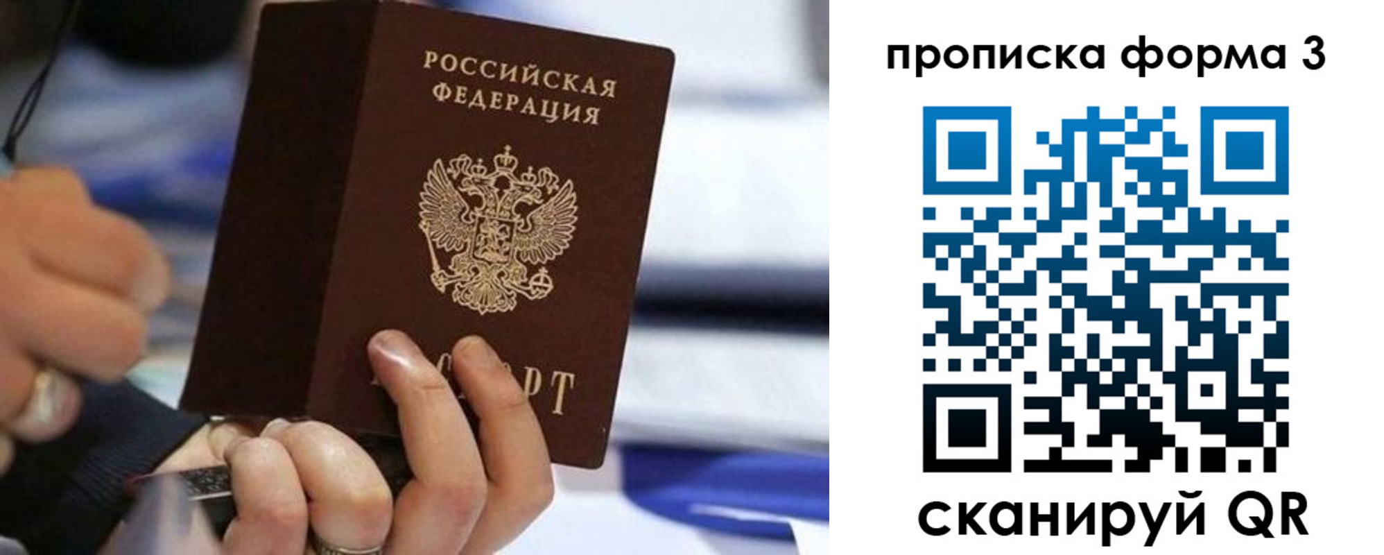 прописка штамп в Ясном